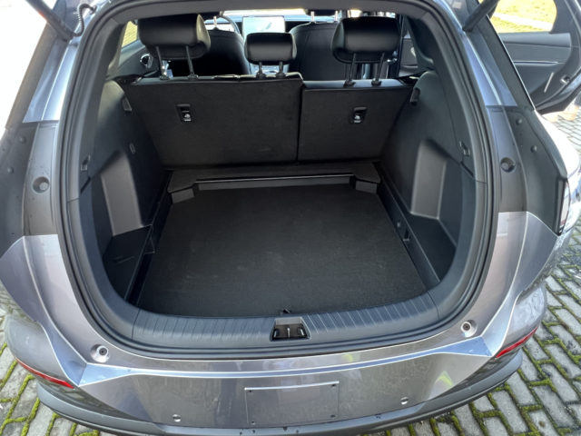 BYD Sea Lion 06 EV